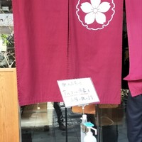 高麗橋桜花 - 