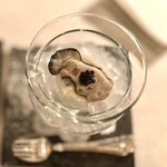 フレンチ ベイ・ビュー - 牡蠣のポッシュ　キャビア添え