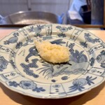 成生 - アオリイカ