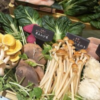 Shangri-La's secret ROPPONGI - 
