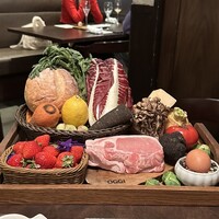 オッジ ダルマット 西麻布店 - 