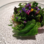 カセント - サラダ