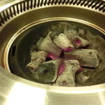 京松蘭 - 網を頃合いを見て交換してくれるよ～