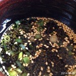 本格手打 もり家 - 2014.6.14(土)11時15分　かけうどん280円　ざる380円2杯