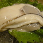 さかえ屋 - 仙鳳路産牡蠣