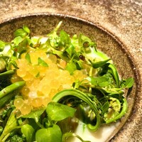 アニエルドール - 