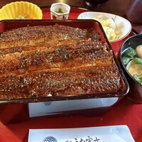 炭焼うな富士 白壁別邸 - 