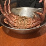 はこだて ふさや - 