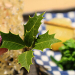 難波 鮨 よこ田 - 