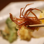 難波 鮨 よこ田 - 