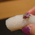 難波 鮨 よこ田 - 