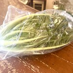 アルチ・ゴーラ - プンタレッレって､こんな野菜　ローマではサラダで食べる事が多いそうです♪(๑ᴖ◡ᴖ๑)♪