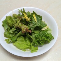 BISTRO DOUBLE - 