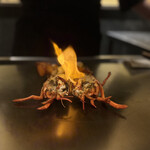 名駅 鉄板焼き 森本Ｘ Premium - オマール海老