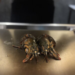 名駅 鉄板焼き 森本Ｘ Premium - オマール海老