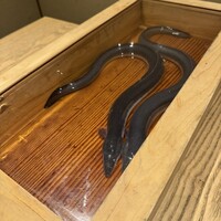 にょろ助 銀座 - 