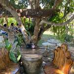 ポックポックヌードル - 