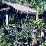 ポックポックヌードル - 