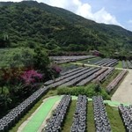 黒酢の郷 桷志田 - 