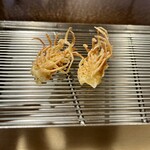 てんぷら山の上 Ginza - 海老の頭