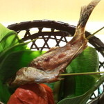 日本橋笈川 - 2014.6　鮎