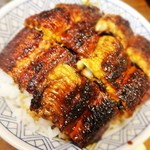 たてまつ - 「うな丼 上」のアップです。