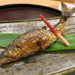 日本料理 太月 - 26年6月　郡上八幡鮎塩焼き（焼きグレードアップ）