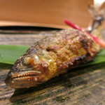 日本料理 太月 - 26年6月　郡上八幡鮎塩焼き（焼きグレードアップ）