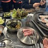 韓国酒場マショマショ
