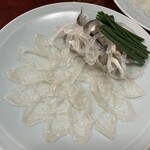 小やなぎ - てっさ(๑˃̵ᴗ˂̵)