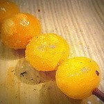 鳥しき - 銀杏（塩が甘みを引き出し、本来の苦みと融合！）(2014.06)