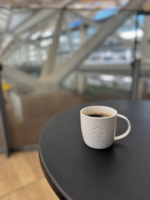 スタバ　せんよう Amazon | スターバックス スタバ ロゴコールドカップタンブラー