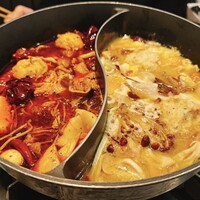 CINA New Modern Chinese - 