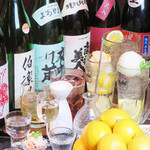 新鮮魚介酒場たぬき - 