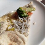 アマルフィイ デラセーラ - 