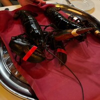 ベンジャミンステーキハウス 六本木 - 
