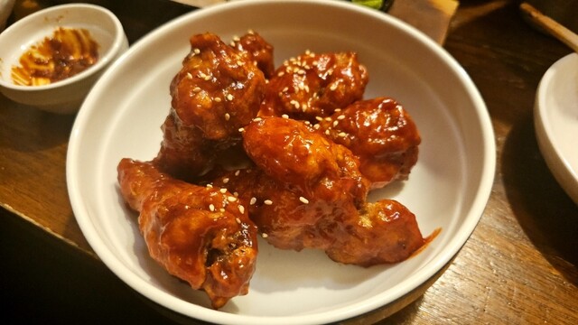 K Shoku Kijitora photo 3