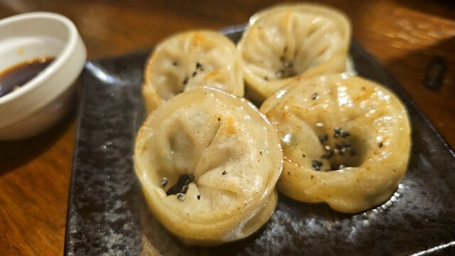 K Shoku Kijitora photo 2