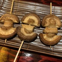 鳥ばか一代 - 