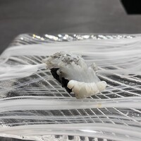 鮨 Matsui はなれ - 