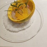 デルフィーナ - 
