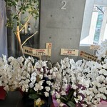 L'ARBRE - 圧巻の白の胡蝶蘭