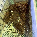 黒潮ダイニング パールロード店 - 