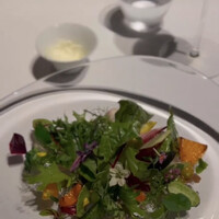 レフェルヴェソンス -  レフェルヴェソンス -