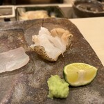 鮨さかもと - つぶ貝