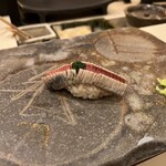 鮨さかもと - いわし