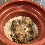 アカミヤコウシ - テールご飯