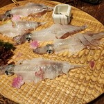 日本料理てら岡 - 活き造り