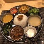 スパイス料理ナッラマナム - ２種盛りデス^ - ^