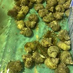 黒潮ダイニング パールロード店 - 